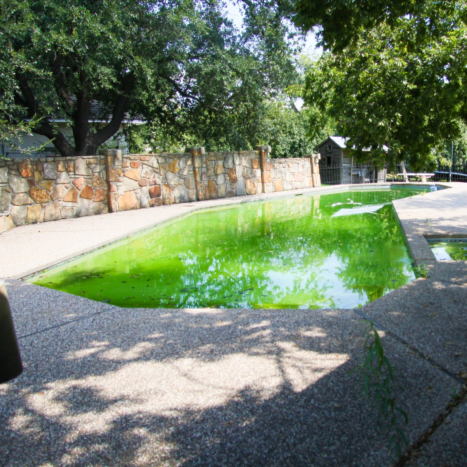A backyard swimming pool with cloudy, green water is surrounded by a stone wall and trees. Sunlight filters through the leaves, casting shadows on the pool deck—a perfect candidate for Inman Pool Service to restore its clarity.
